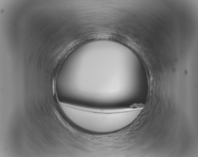 X0000054410013200507290908