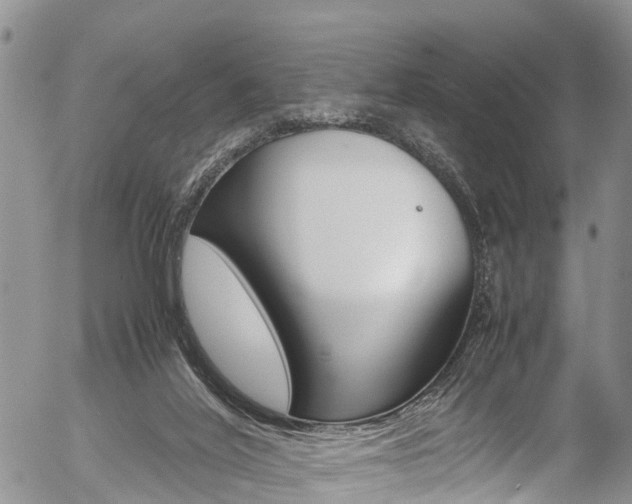 X0000054410020200507290908