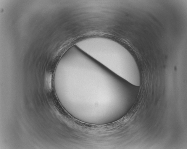 X0000054410024200507290908