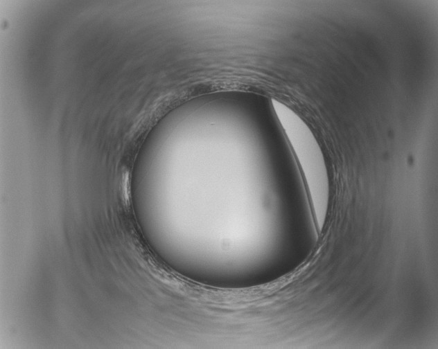 X0000054410041200507290908