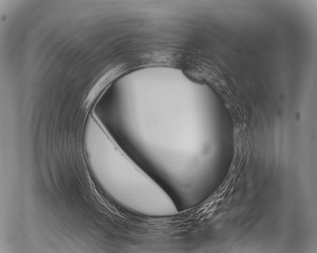 X0000054410051200507290907