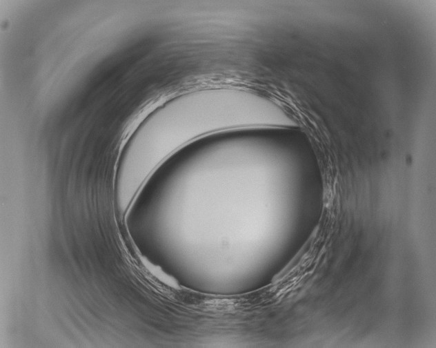 X0000054410052200507290907
