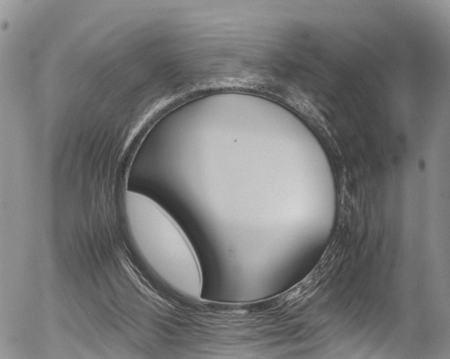 X0000054410108200507290907