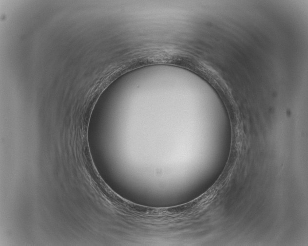 X0000054410113200507290906
