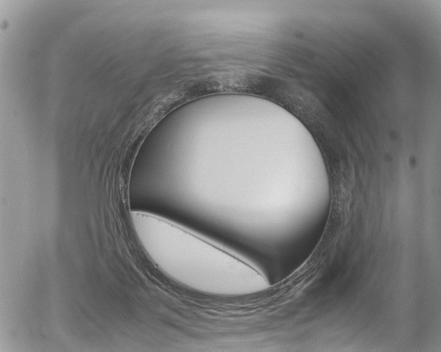 X0000054410123200507290906