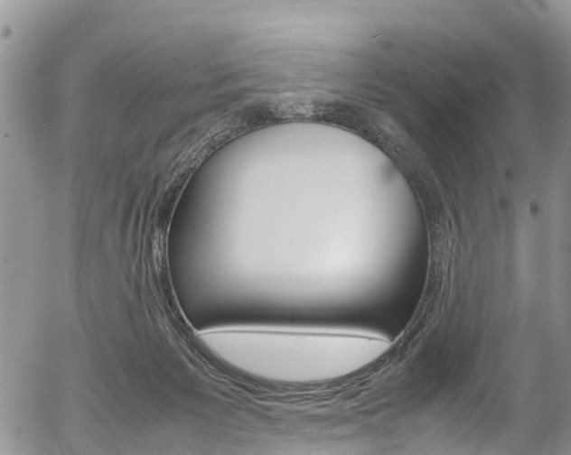 X0000054410125200507290906