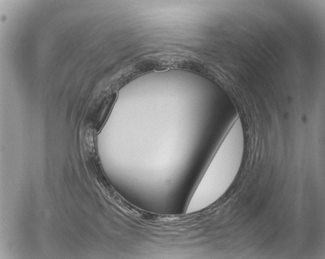 X0000054410137200507290906