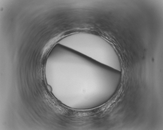 X0000054410149200507290905