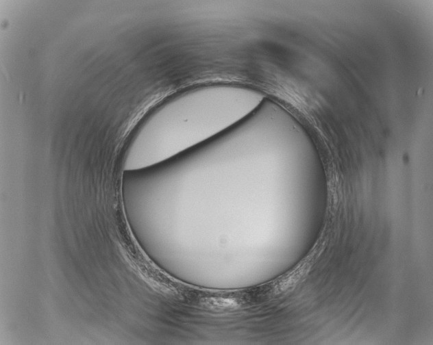 X0000054410159200507290905