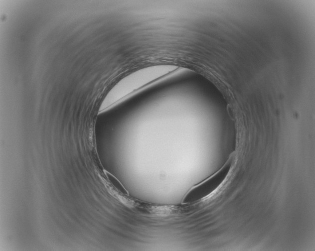 X0000054410192200507290906