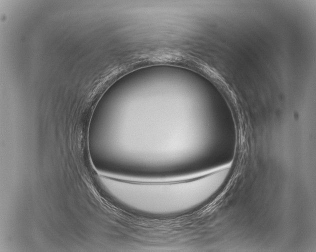 X0000054410201200507290905