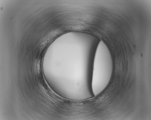 X0000054410206200507290905
