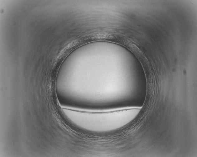 X0000054410207200507290905