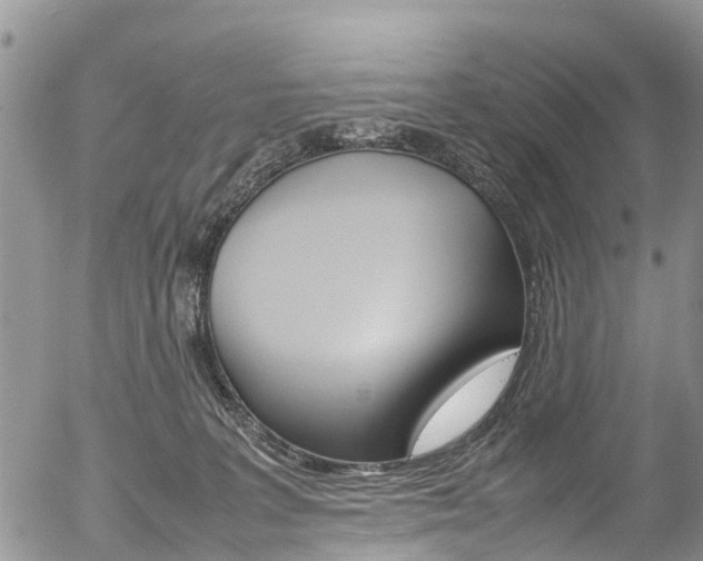 X0000054410227200507290905