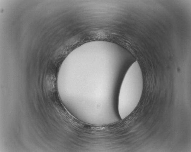 X0000054410230200507290905