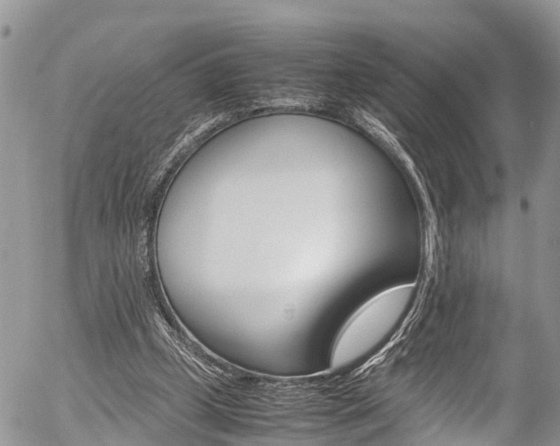 X0000054410249200507290904