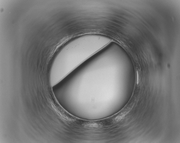X0000054410253200507290904