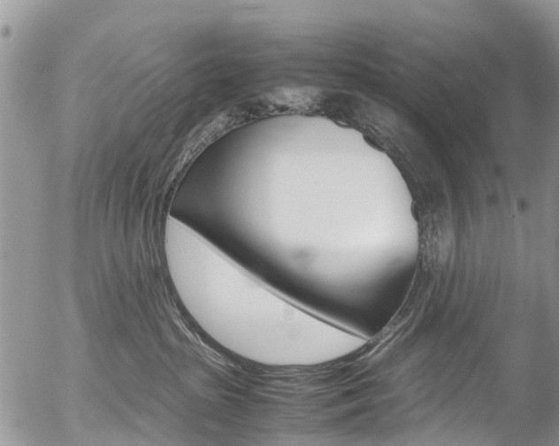 X0000054410285200507290904