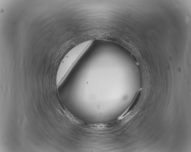 X0000054410288200507290904