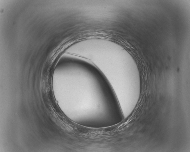 X0000054410291200507290904
