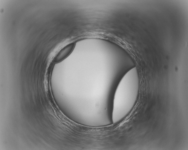 X0000054410294200507290903