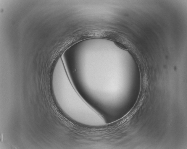 X0000054410305200507290903