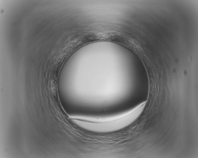 X0000054410317200507290903