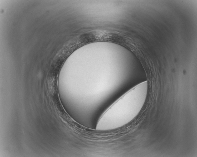 X0000054410319200507290903