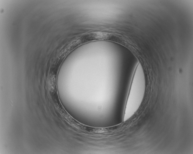 X0000054410325200507290903