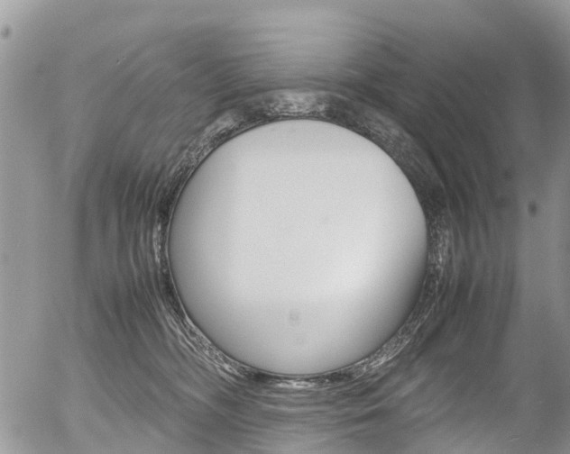 X0000054410326200507290903