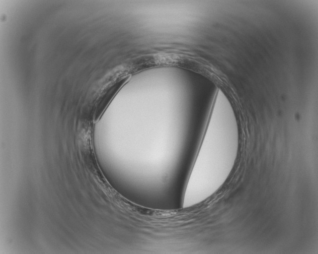 X0000054410329200507290903