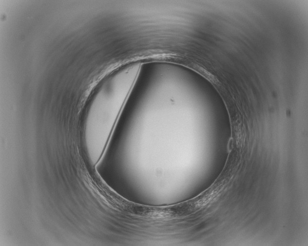 X0000054410350200507290902