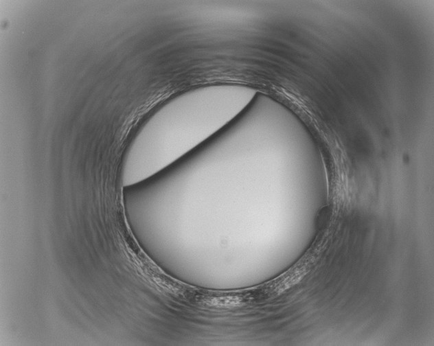 X0000054410353200507290902