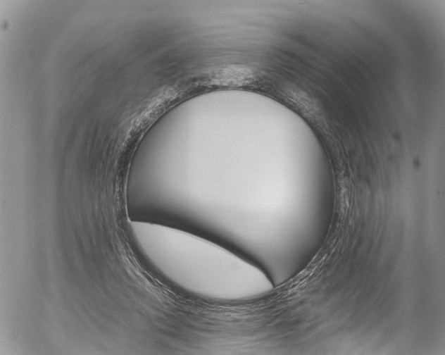 X0000054410354200507290902