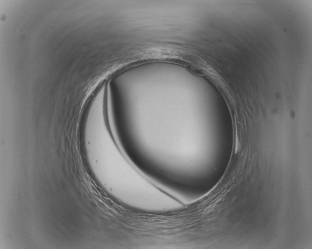 X0000054410387200507290902