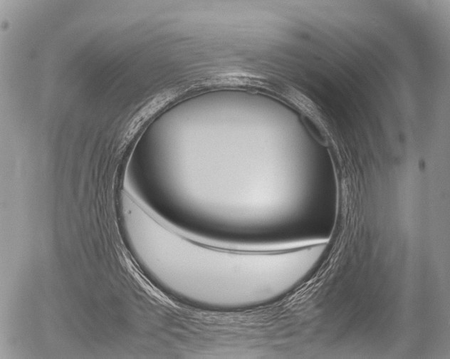 X0000054410389200507290902