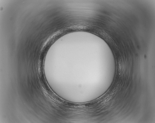 X0000054410396200507290902