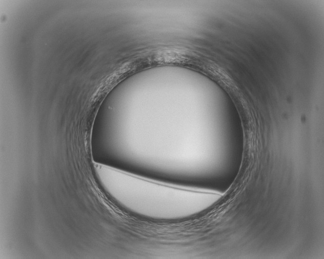 X0000054410401200507290902
