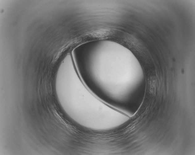 X0000054410404200507290902