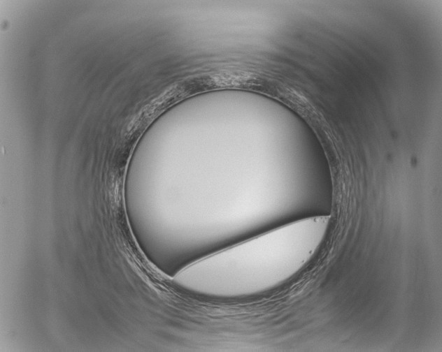 X0000054410405200507290902