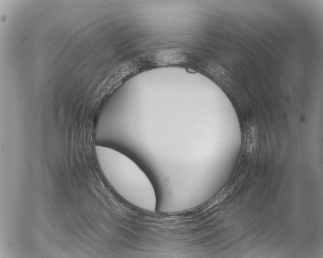 X0000054410426200507290901