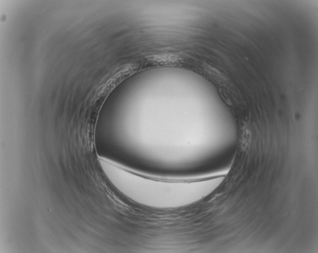X0000054410428200507290901