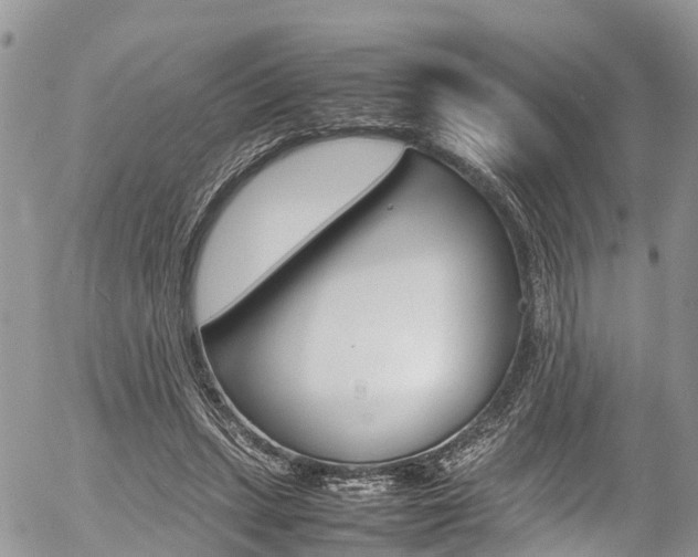 X0000054410447200507290901