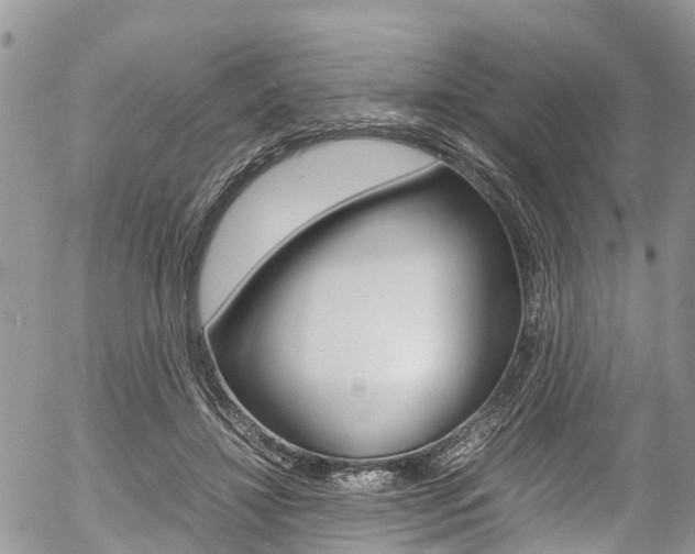 X0000054410452200507290901
