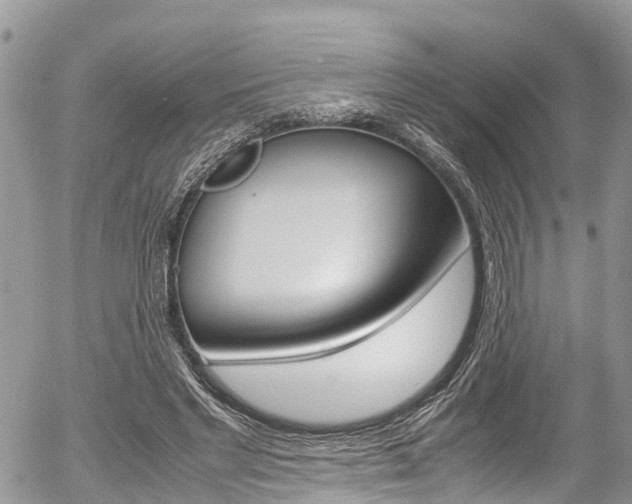 X0000054410493200507290900