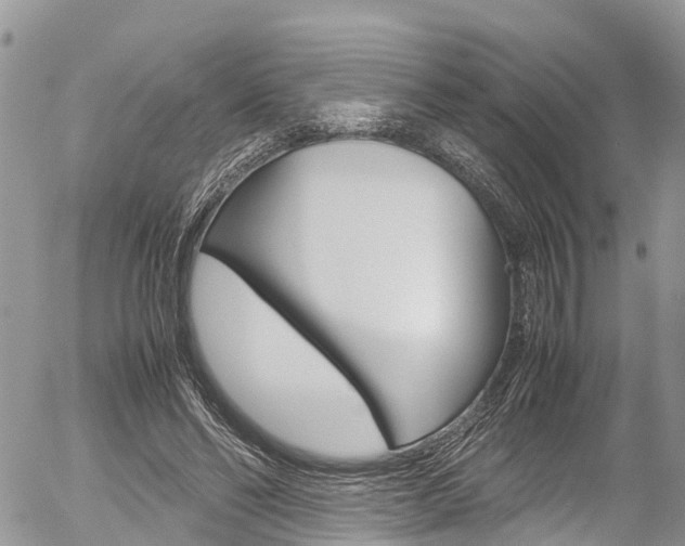 X0000054410494200507290900