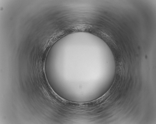 X0000054410504200507290900