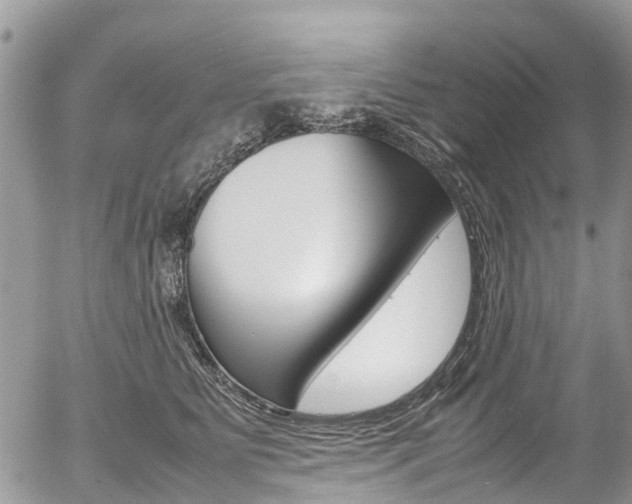 X0000054410515200507290900