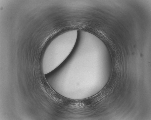 X0000054410543200507290859