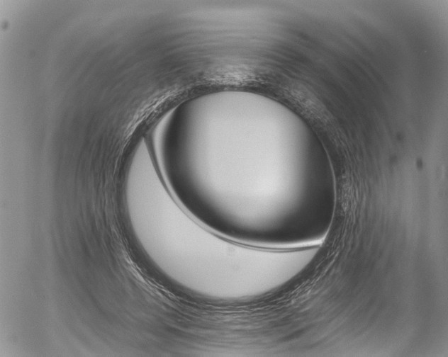 X0000054410544200507290859